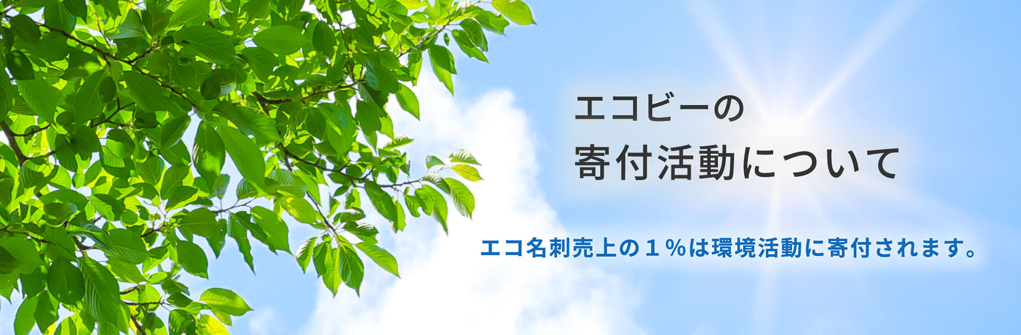 エコビーの寄附活動について | エコ名刺売上１%は環境活動に寄附されます。